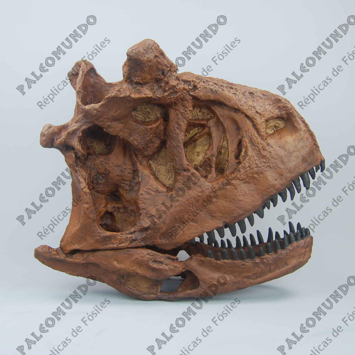 Carnotaurus sastrei