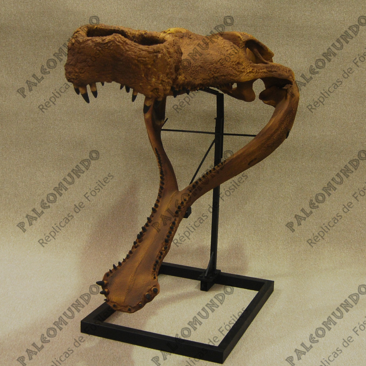 Sarcosuchus imperator