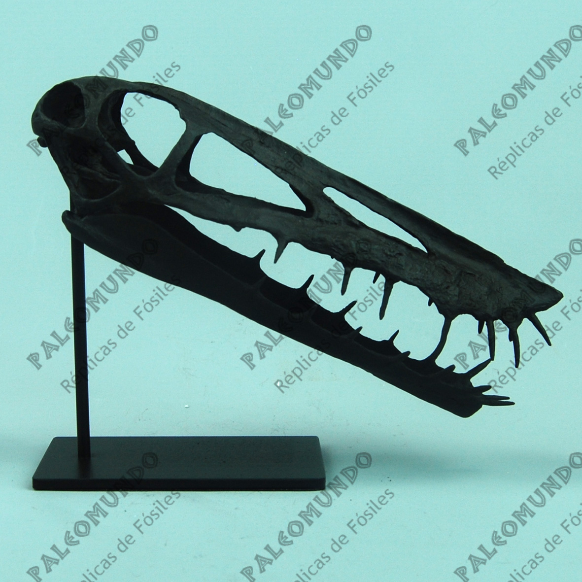 Harpactognathus gentryii