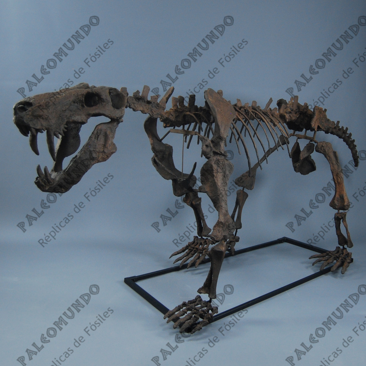 Inostrancevia alexandri